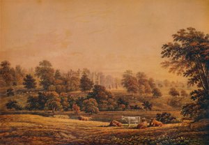 Vue de l