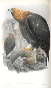 Illustration de l