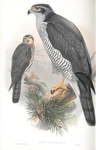 Illustration de l