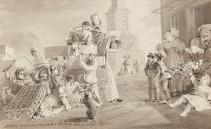 Chaos des bagages à Whitehaven - John Harden