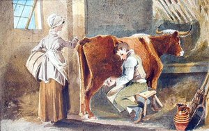 Traite des vaches - John Harden