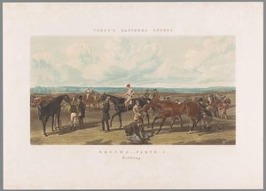 Les chevaux sont sellés pour la course