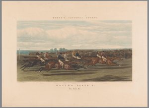 Course de chevaux (Racing - planche 3. The Run In) (Fores national sports)