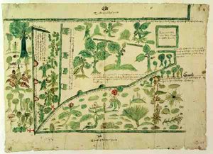 Carte montrant une partie du manoir de Shawe, Berkshire, Angleterre