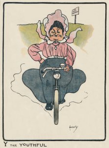 Y the Youthful / J. Hassall / Dessin, 1903