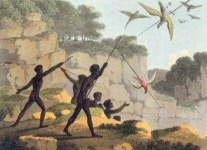 Lancer de la lance, aborigènes chassant des oiseaux de Nouvelle-Galles du Sud gravé par Matthew Dubourg (f.1813-1820) pub. 1813
