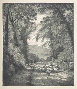 Moutons conduits par un berger, le long d