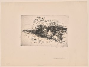 Paysage d
