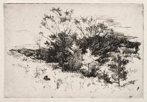 Paysage d