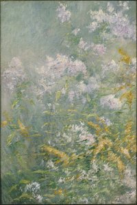 Fleurs des prés (Golden Rod et Wild Aster) - John Henry Twachtman