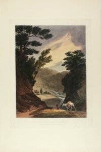 Vue près des chutes de Schuylkill, Pennsylvanie, planche cinq du premier numéro de Picturesque Views of American Scenery
