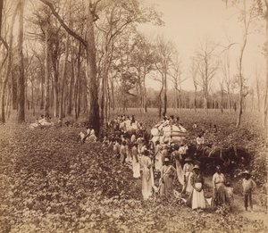 12 heures dans le déboisement, vers 1891 - John Horgan