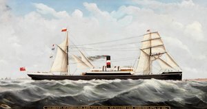 S.S. Cogent de Sunderland, 1884-85