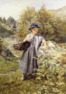 Le jeune herboriste - John Isaac Richardson
