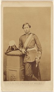 S.A.R. le Prince de Galles. - John Jabez Edwin Mayall