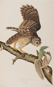 Illustration de 