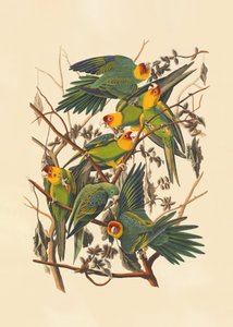 - John James Audubon