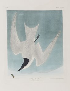 Illustration de 