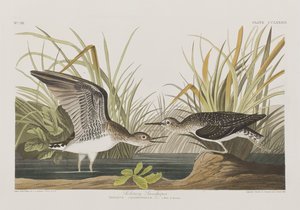 Illustration de 
