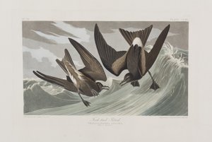 Illustration de 