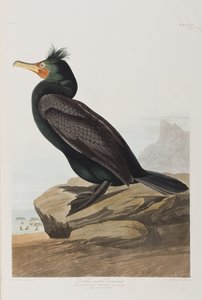 Illustration de 