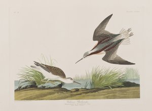 Illustration de 