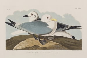 Illustration de 
