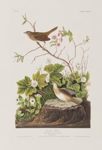 Illustration de 