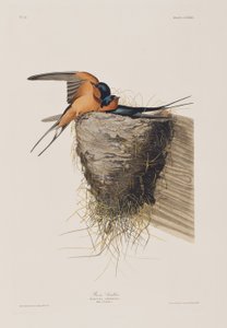 Illustration de 