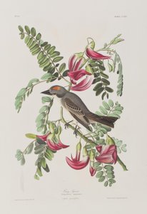 Illustration de 