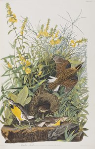 Illustration de 