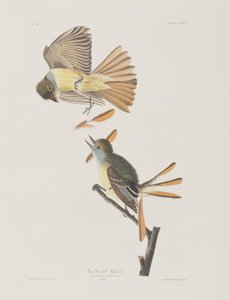 Illustration de 