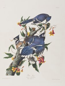 Illustration de 