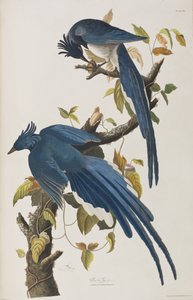 Illustration de 