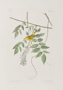 Illustration de 