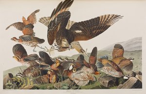 Illustration de 