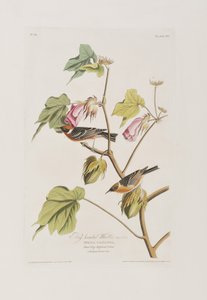 Illustration de 