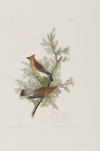 Illustration de 