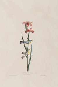 Illustration de 
