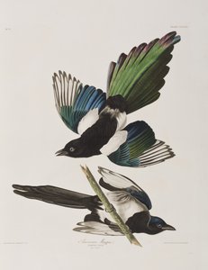 Illustration de 