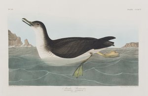 Illustration de 