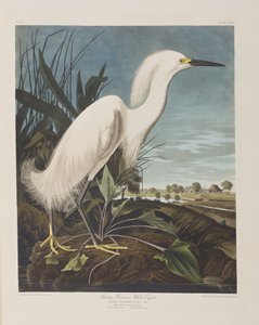 Illustration de 