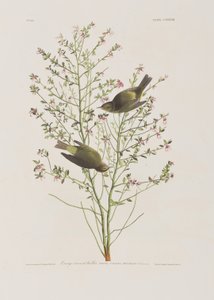 Illustration de 