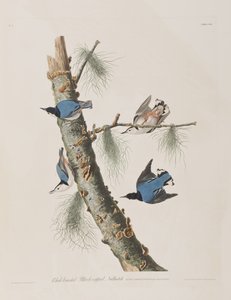 Illustration de 