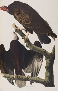 Illustration de 