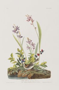 Illustration de 