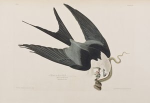 Illustration de 