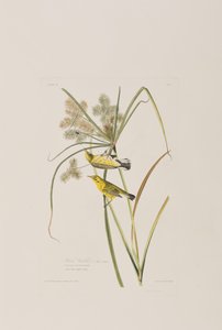 Illustration de 