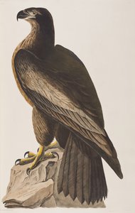 Illustration de 