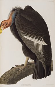 Illustration de 